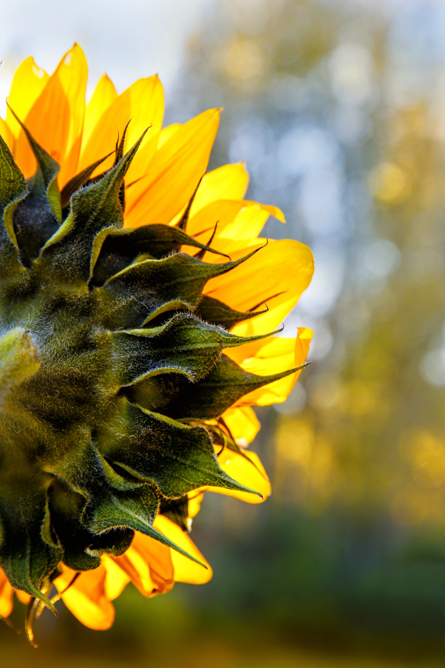 1:1 Consultation Session